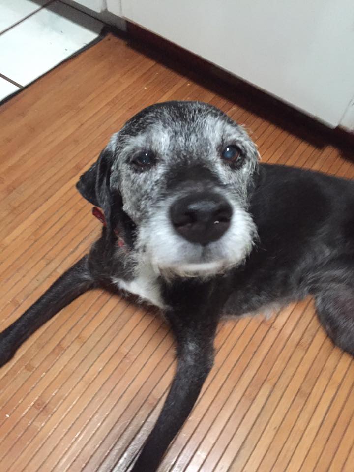 Sadie