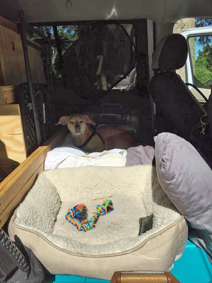 Banjo in van