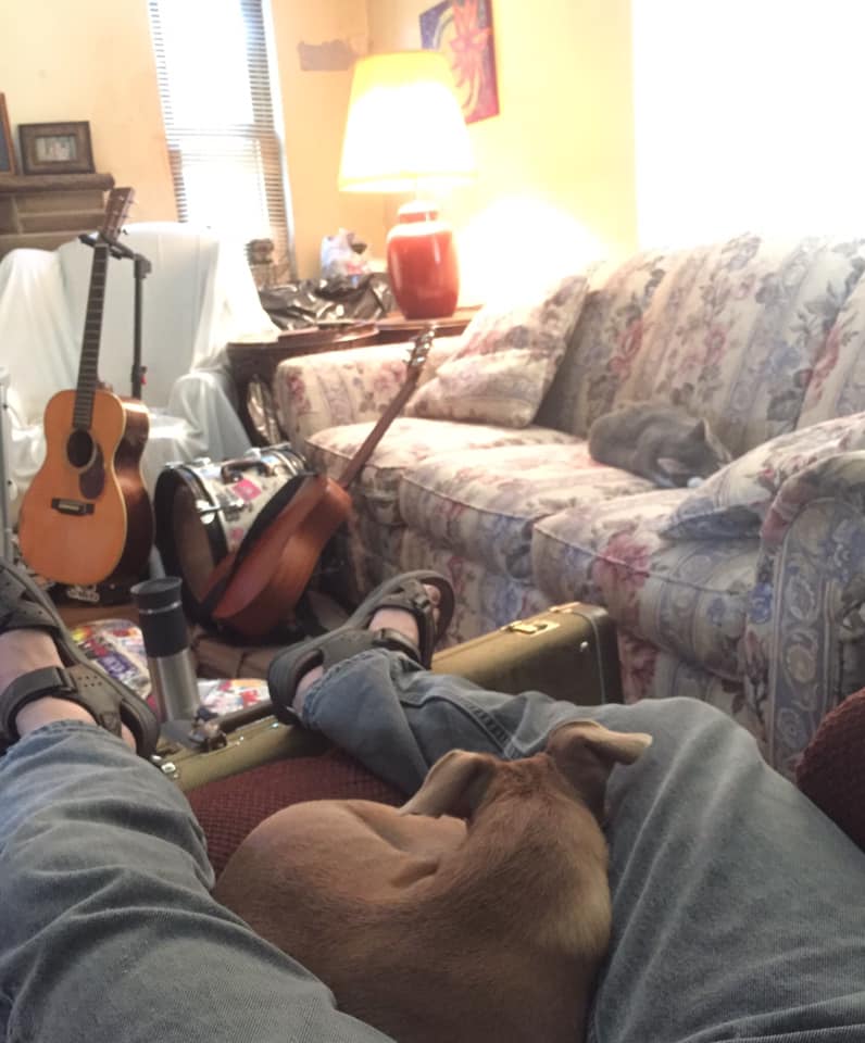 man napping with dog and guitars