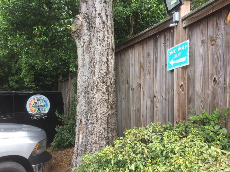 Allman Brothers memorabilia