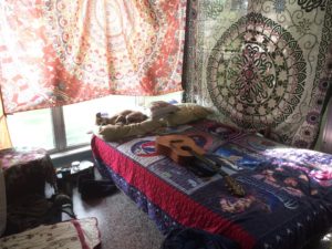cozy bed for napping