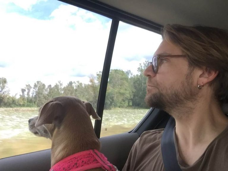 puppy and Roy Schneider stare out car window