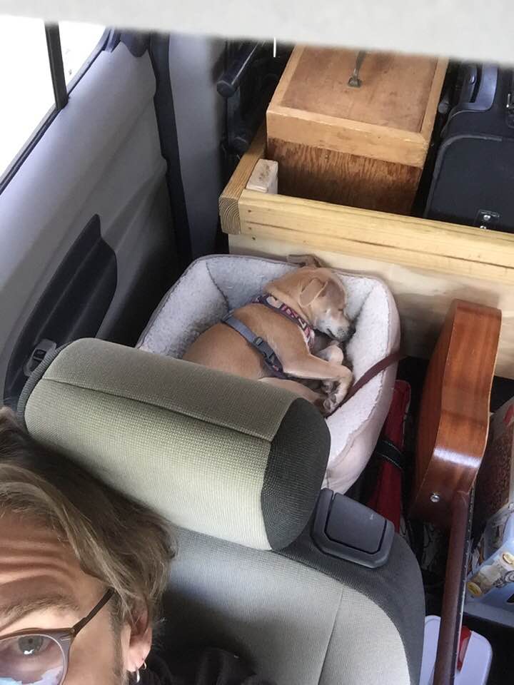 Banjo in van